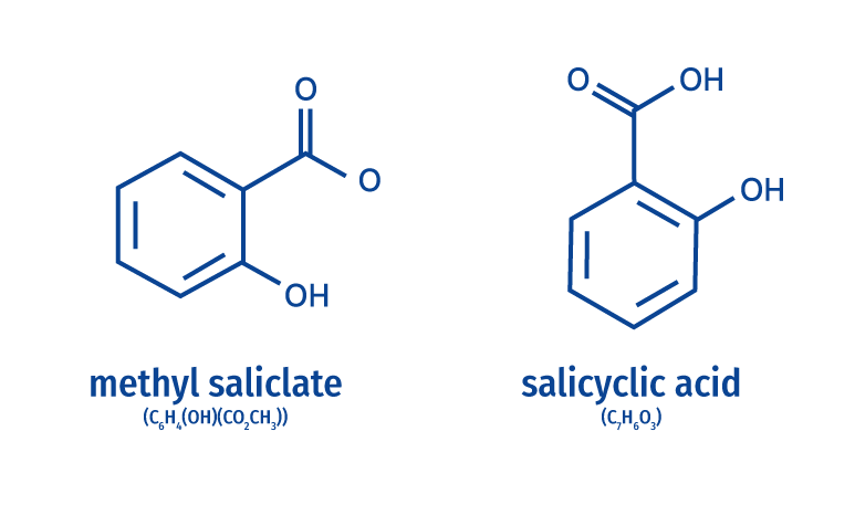 TASTE AND SMELL <br><br>
Trees taste salicylic acid and smell methyl salicylate. Those have analgesic and antipyretic effects on
human beings.                                                                                