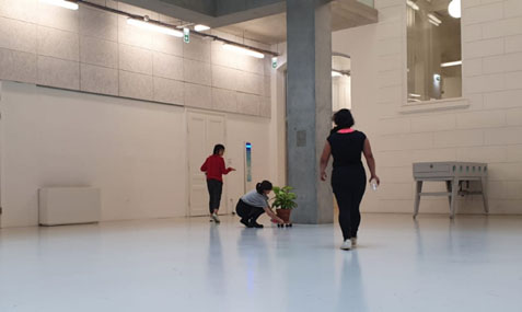 The Plant Room, Installation. Photo: Sophia Glinka, 2021